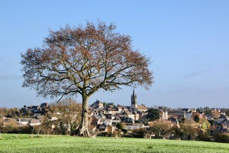 boutique vêtements grande taille Pouancé